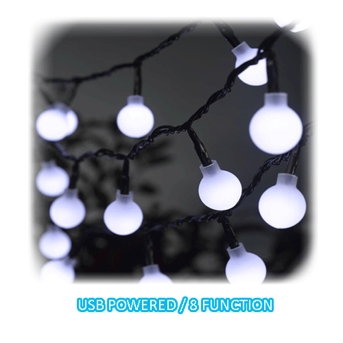 LED Globe Decorative Lights