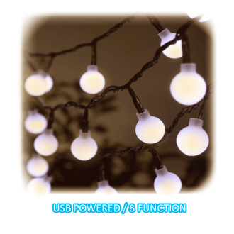 LED Globe Decorative Lights