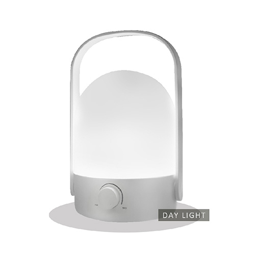 LED Handle Light